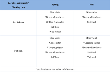 Seeds with their light requirements and planting times. An asterisk indicates species not native to Minnesota. Blue violet: Spring and fall planting, partial and full sun. (asterisk) Dutch white clover: Spring and fall planting, partial and full sun. Self-heal: Spring and fall planting, partial and full sun. Golden Alexander: Spring planting and partial sun. Wild lupine: Spring planting and partial sun. Calico aster: Spring planting and full sun. (asterisk) Creeping thyme: Spring and fall planting, full sun. Tickseed: Fall planting and full sun.